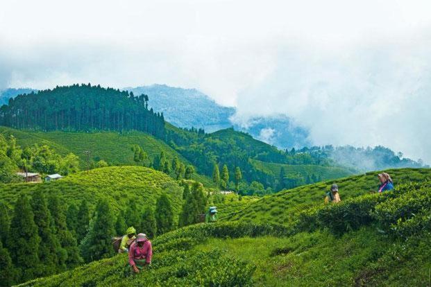 Hotel Central View - Darjeeling Дарджилінг Екстер'єр фото